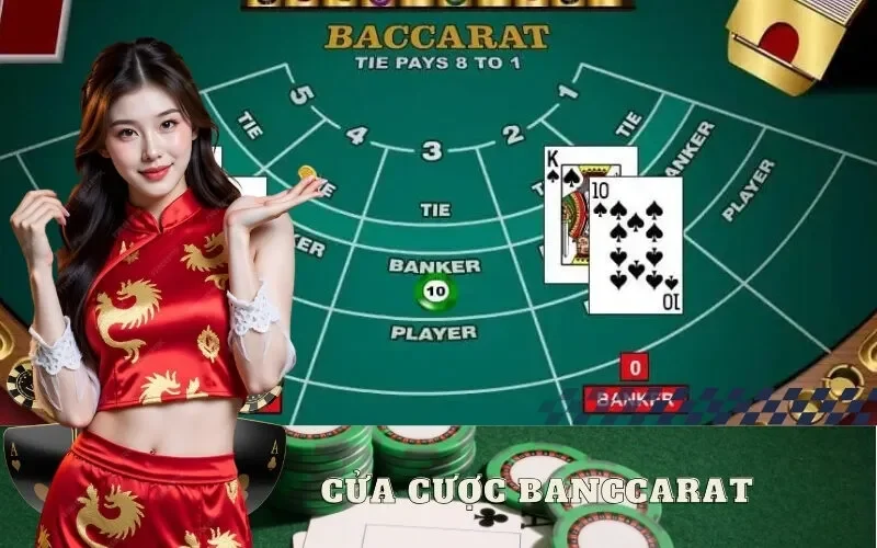 Các Cửa Cược baccarat Phổ Biến: Player, bannker, Tie, Cược Phụ